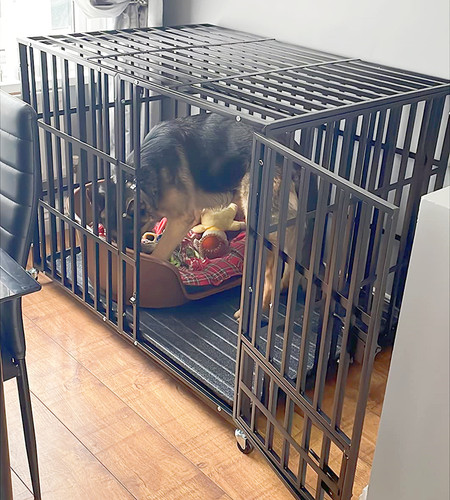 Heavy duty dog crate - duty,