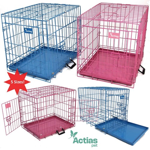 Pink blue dog - cage, metal